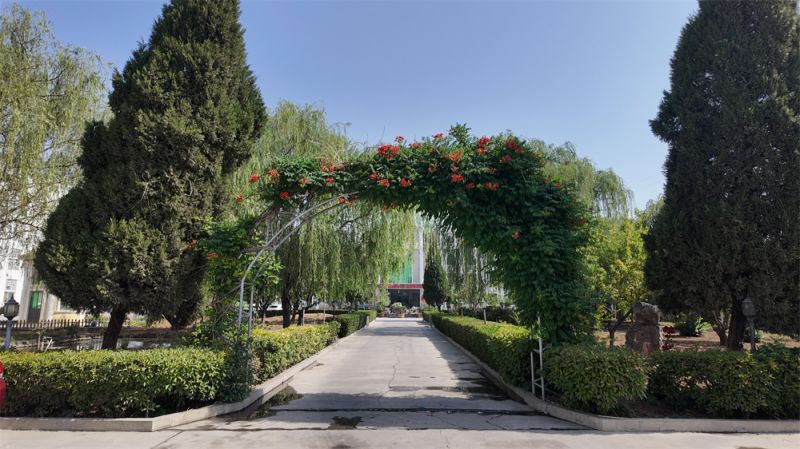 工厂一角