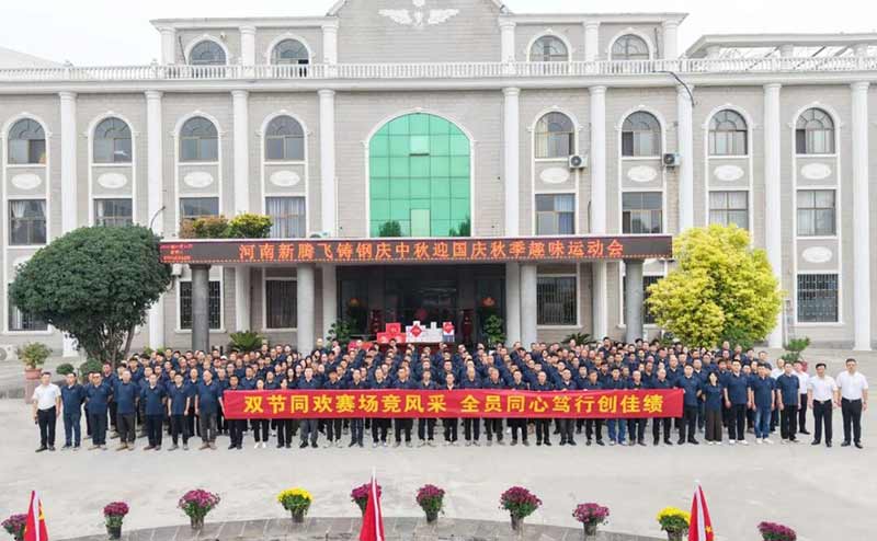 河南新腾飞铸钢9
